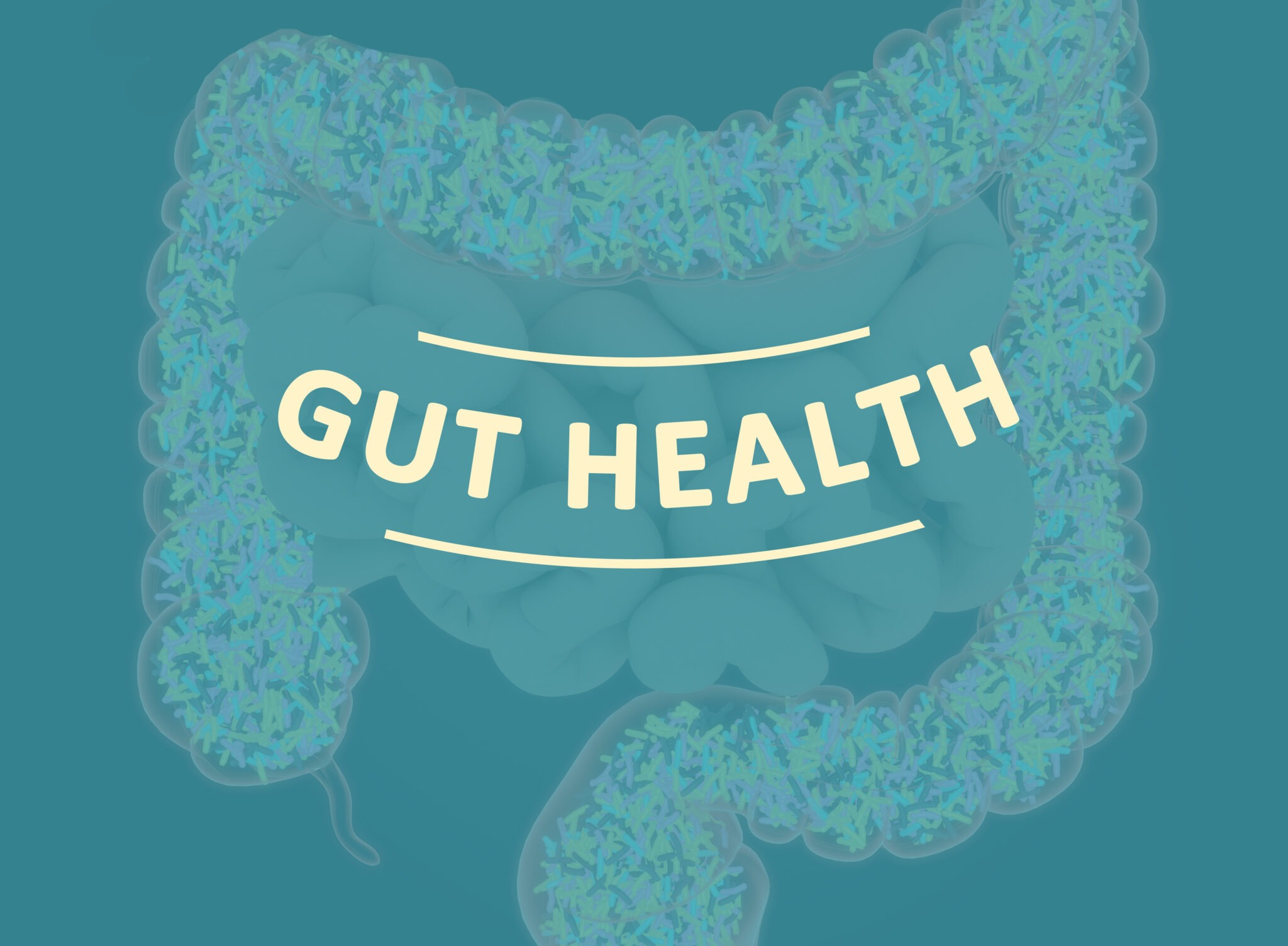 Illustration of the gut with a 'gut health' banner